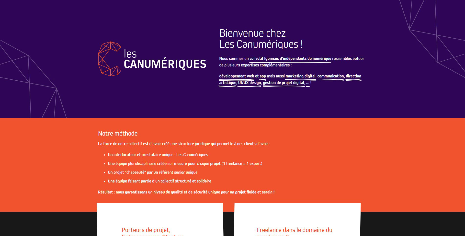 Page d'accueil du site des Canumériques. Collectif Lyonnais d'indépendants du numérique.